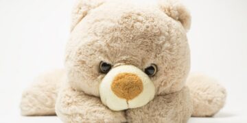 Де шукати гарних плюшевих ведмедиків: корисні поради