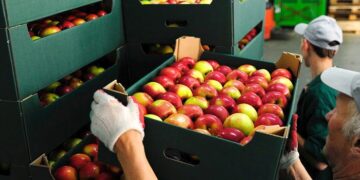 Преимущества покупки продуктов оптом для ресторанов