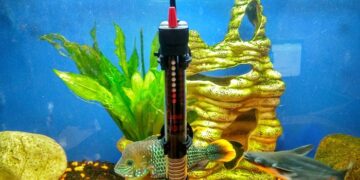 Нужно ли устанавливать нагреватель для воды в аквариуме: основные аспекты