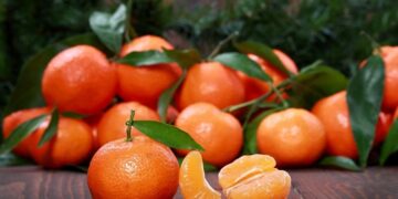 Чим корисні мандарини: вміст корисних речовин та вплив на організм