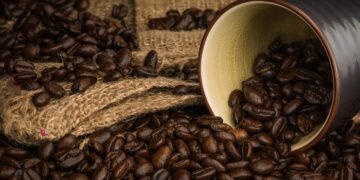 Кофе в зернах: основные виды, характеристики и рекомендации по выбору