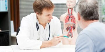 Почему важно серьёзно отнестись к диагнозу варикоцеле